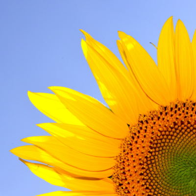 Michelle summer blog pic